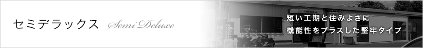 セミデラックス